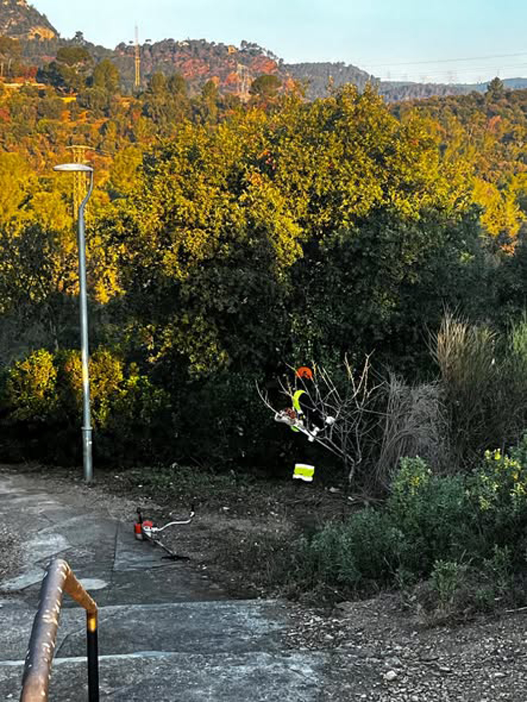 Gavà consolida una estratègia planificada i continuada per reforçar la prevenció d'incendis forestals