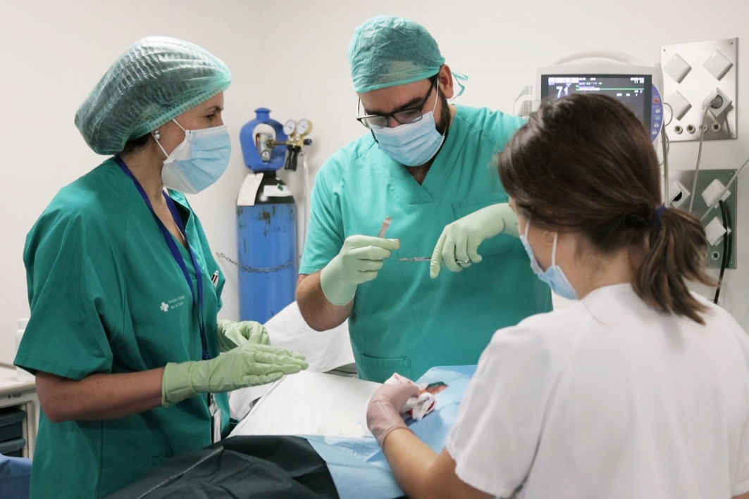 El servei de Dermatologia de l’Hospital de Viladecans duplica el nombre de diagnòstics i tractaments de càncer cutani