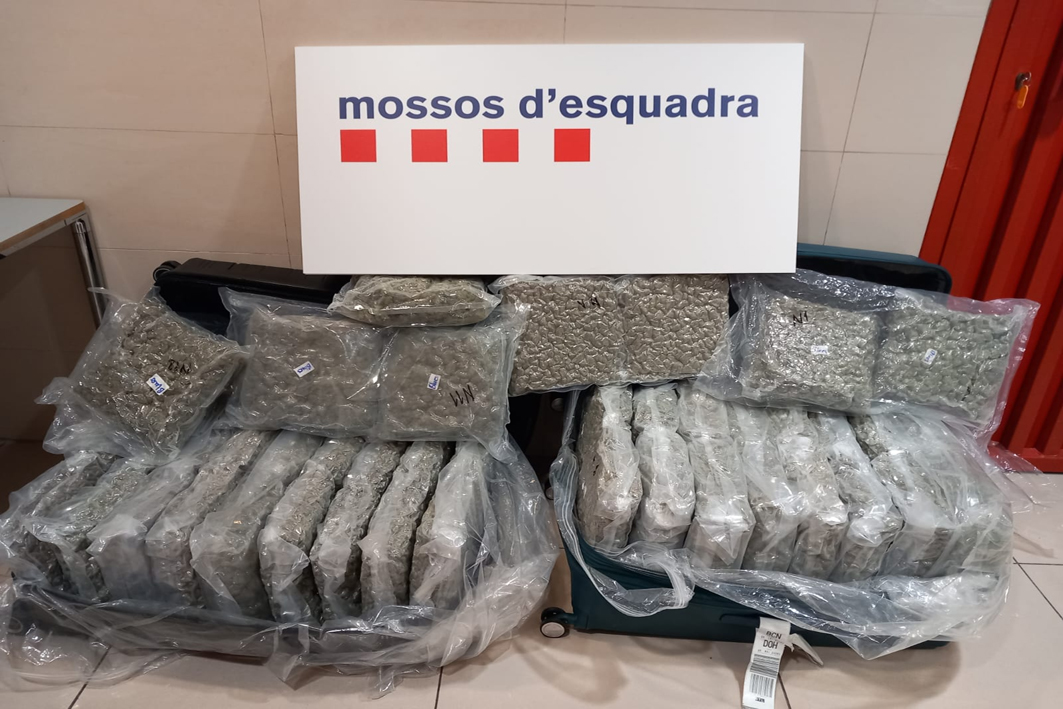 Detenen un home a Sant Esteve de Sesrovires i comissen 46 quilograms de marihuana en cabdells