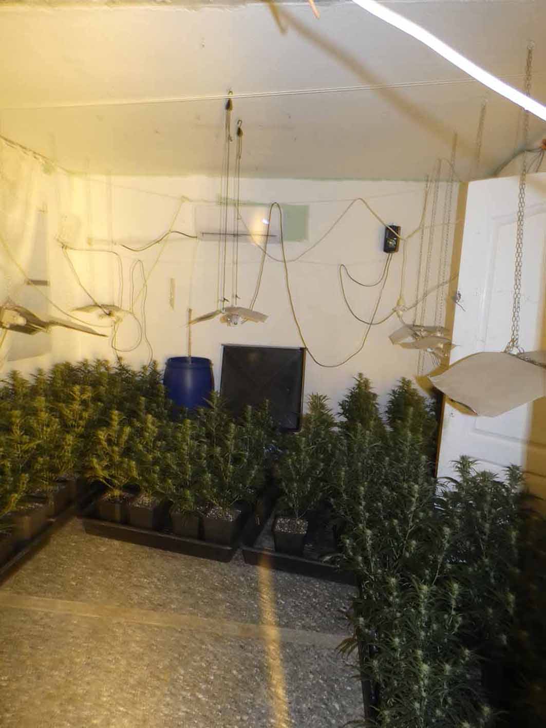 Desmantellen dues plantacions de marihuana indoor en pisos 