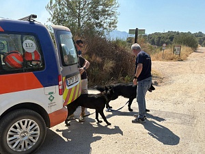 La Policia Local i Protecció Civil de Viladecans ajuden a afrontar l’incendi de Gavà